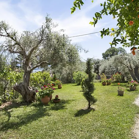 Tasoula With Mountain View شقة