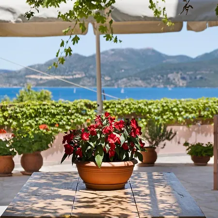 Tasoula With Mountain View Διαμέρισμα *
